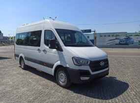 Hyundai  H350