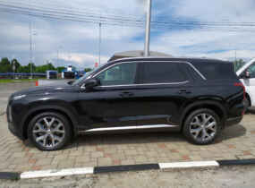 Hyundai Palisade Premium 8AT