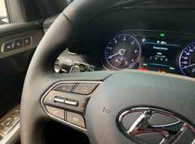 Hyundai Palisade 2.2 CRDi Top Nappa 8AT