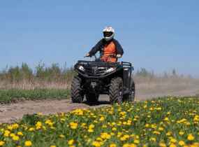 CFMOTO CFORCE 450 Basic
