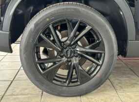 Haval Dargo