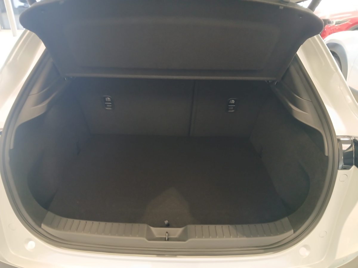 MAZDA CX-30 2.0 2wd Executive+