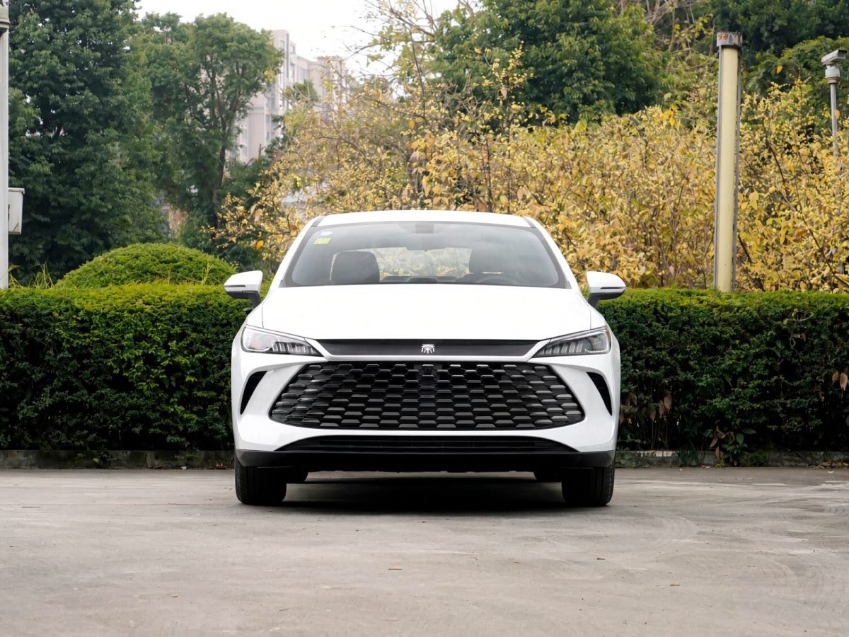 BYD QIN PLUS DM-I 128KM ACTIVE TYPE