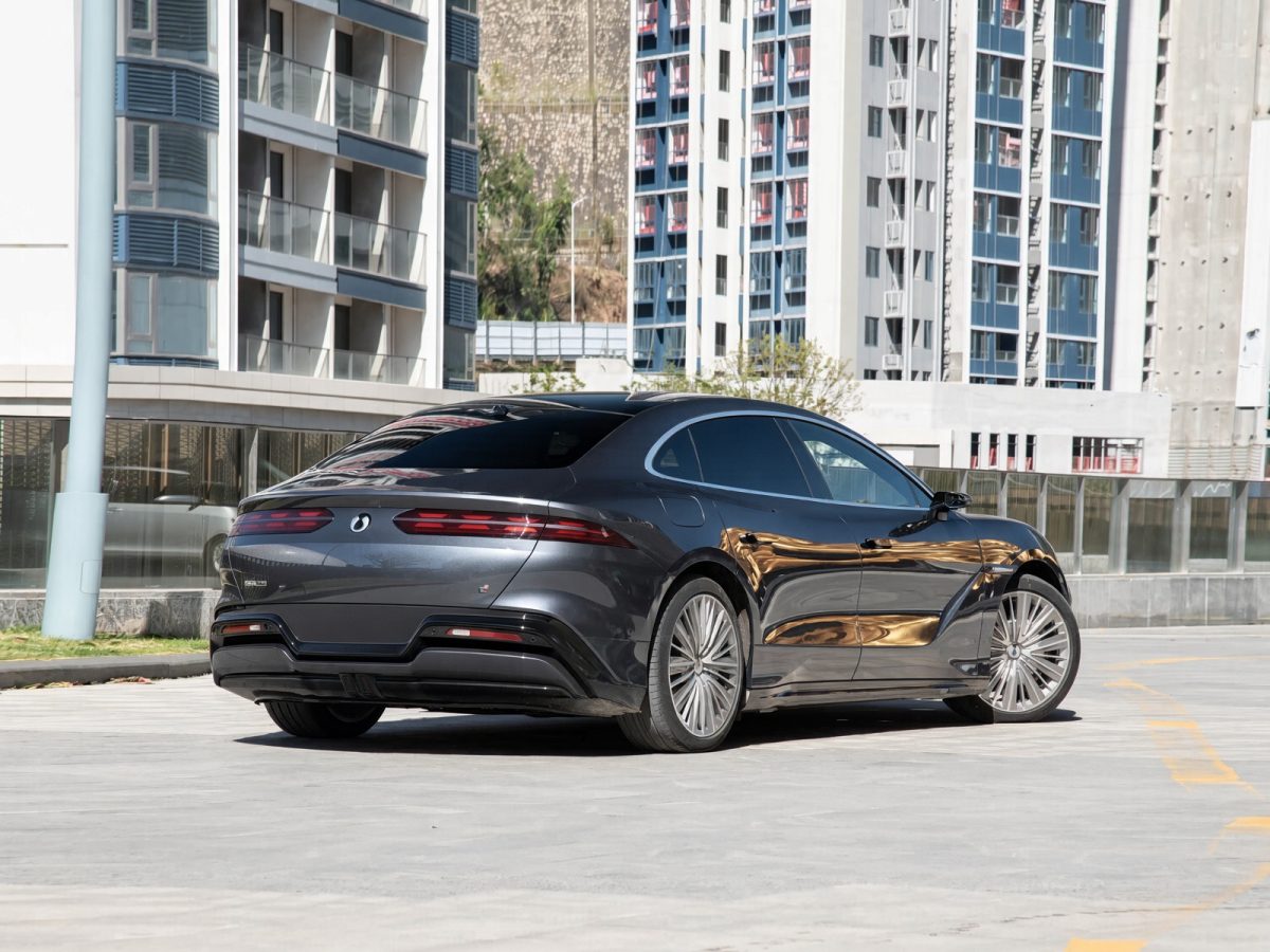Denza Z9GT DM