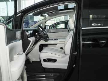 Denza D9