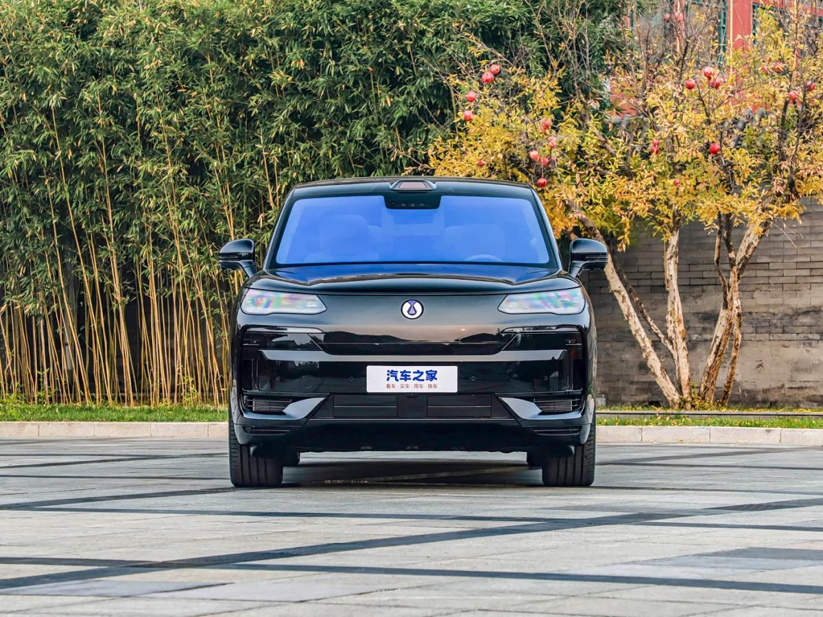 Denza N9 DM
